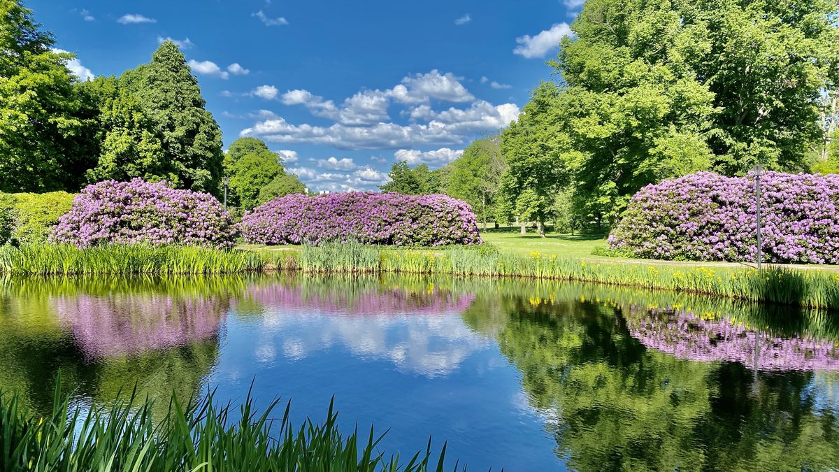 Ronneby Brunnspark - Brunnsmiljö Och Fantastisk Park | FREEDOMtravel