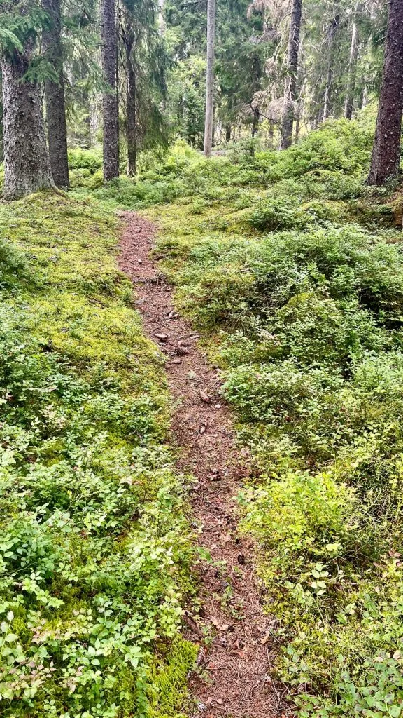 Natur vid First Camp Ånnaboda - Örebro